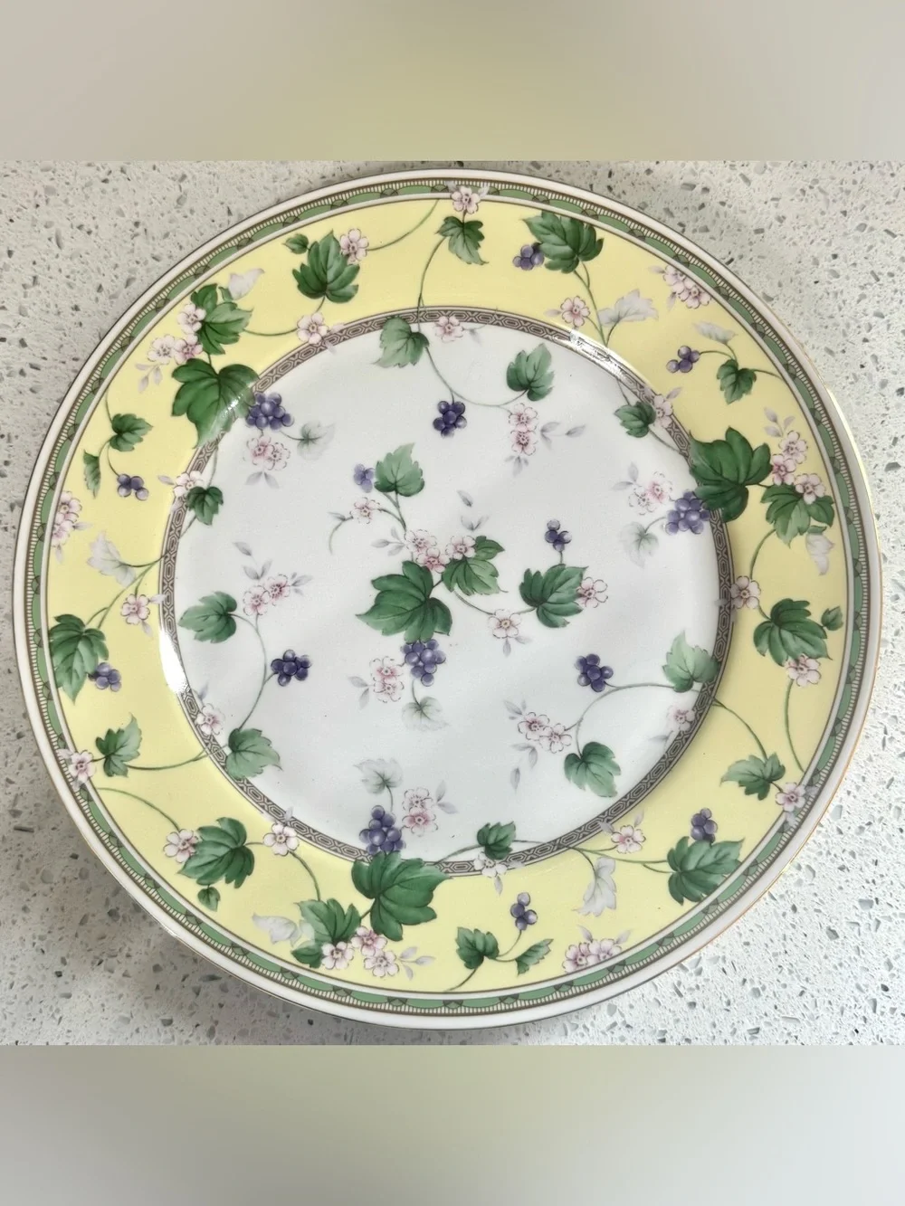 Andrea by Sadek Floral Ivy 11 Inch Decorative Wall Plate